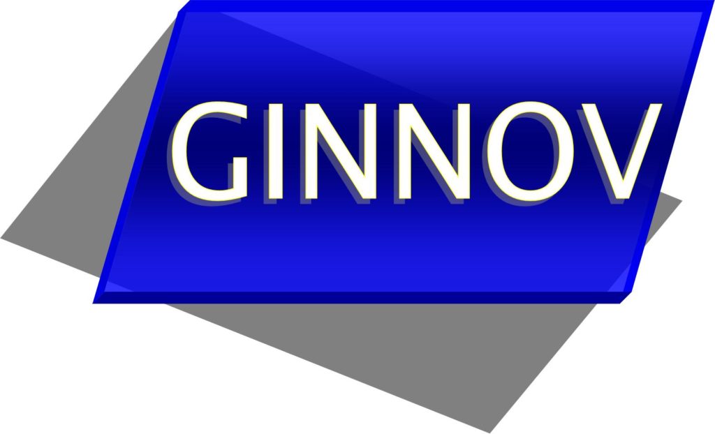 Logo Ginnov gris